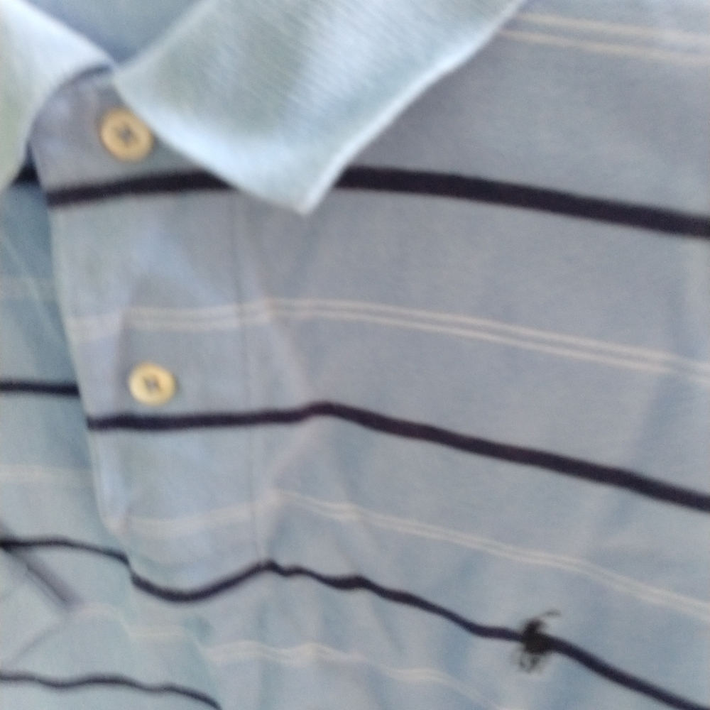 Men's Polo Shirt